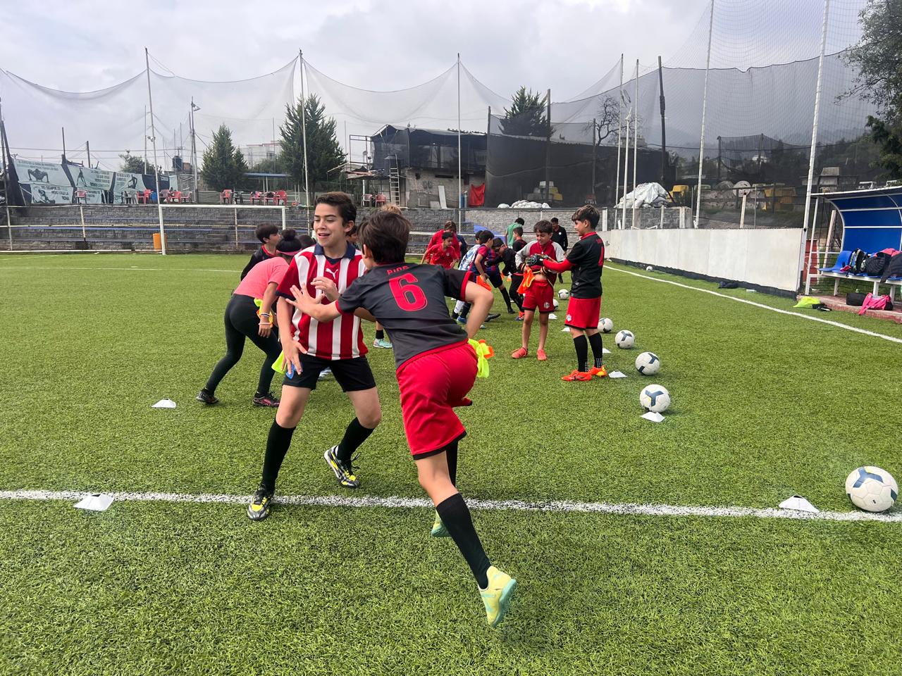 OPA Summer Camp — photo 3